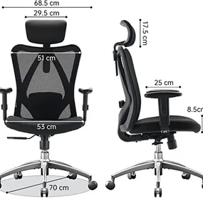 Эргономичное кресло Falto Viva (2D поясничный упор, сетка, ткань, чёрный)
