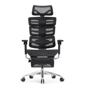 Эргономичное кресло Falto Evolution с подножкой (тихие вставки, управление на подлокотниках, сетка, чёрный)