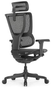 Эргономичное кресло Falto IOO Ultra (наклон вперёд, сетка, чёрный)