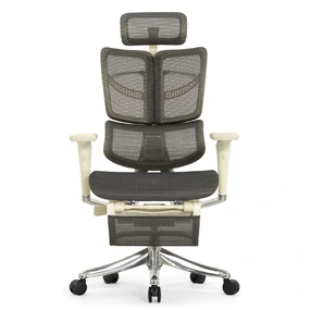 Анатомическое кресло Falto Fly 2 с подножкой (динамичный подголовник, подлокотники 6D (360), сетка, светлый)