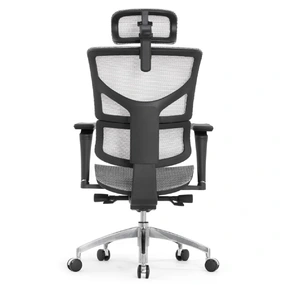 Эргономичное кресло Falto Sail Art 2 (подлокотники 6D (360), сетка, каркас чёрный, белый)