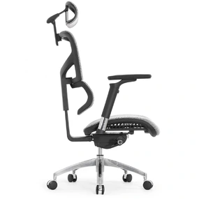 Эргономичное кресло Falto Sail Art 2 (подлокотники 6D (360), сетка, каркас чёрный, белый)