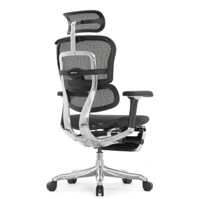 Эргономичное кресло Falto Ergohuman 2 Luxury с подножкой (SmartWork, алюминий, наклон вперёд, сетка, чёрный)