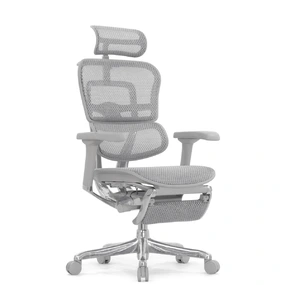 Эргономичное кресло Falto Ergohuman 2 Elite с подножкой (алюминий, наклон вперёд, сетка, серый)