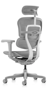 Эргономичное кресло Falto Ergohuman 2 Ultra (наклон вперёд, сетка, серый)