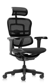 Эргономичное кресло Falto Ergohuman 2 Ultra (наклон вперёд, сетка, чёрный)