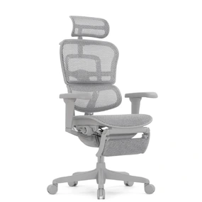 Эргономичное кресло Falto Ergohuman 2 Ultra с подножкой (наклон вперёд, сетка, серый)