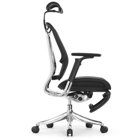 Эргономичное кресло Falto Spring 2 с подножкой (поясничный валик, подлокотники 6D (360), сетка, чёрный)