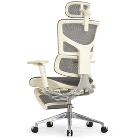 Эргономичное кресло Falto Sail 2 с подножкой (динамичный поясничный упор, подлокотники 6D (360), сетка, светлый)
