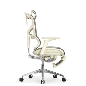 Эргономичное кресло Falto Sail 2 с подножкой (динамичный поясничный упор, подлокотники 6D (360), сетка, светлый)