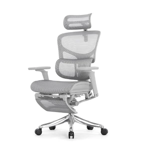 Эргономичное кресло Falto Pro 2 с подножкой (3D поясничный упор, подголовник 4D, каркас серый, белый)