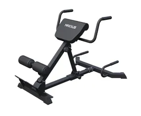 Гиперэкстензия/Римский стул DFC MAXXUS GSMX-6